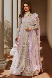 SORAYA | ORCHID