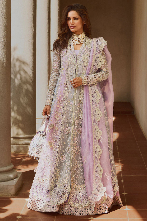 SORAYA | ORCHID