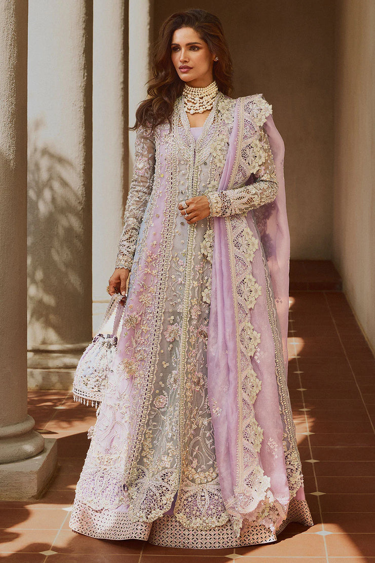 SORAYA | ORCHID