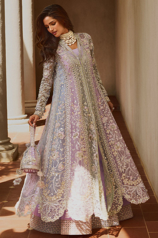 SORAYA | ORCHID